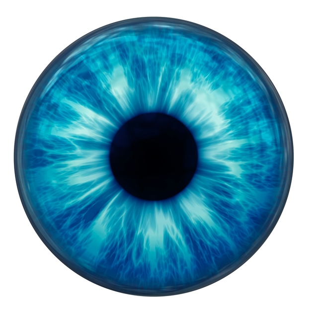 Glass Reborn Doll Eye Glass Reborn Doll Eye